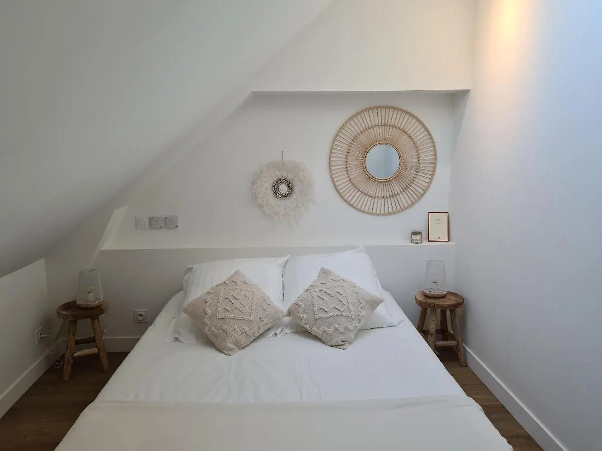Apartment Santorin, Appartement Lumineux Au Coeur De Vannes France